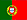 bandeira português